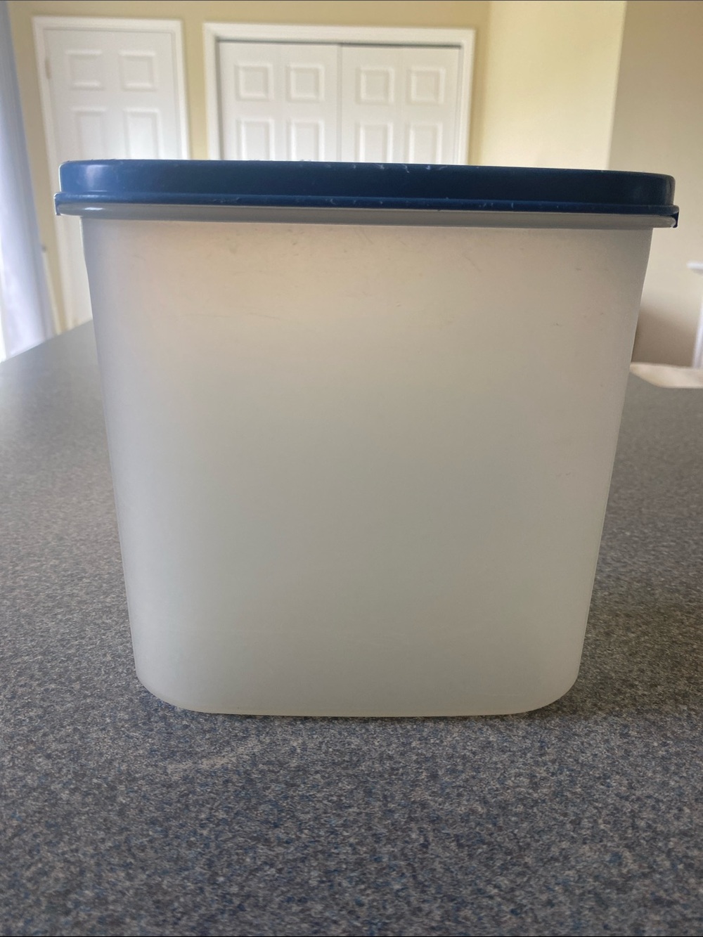 Tupperware Storage Container with Blue Lid Vintage